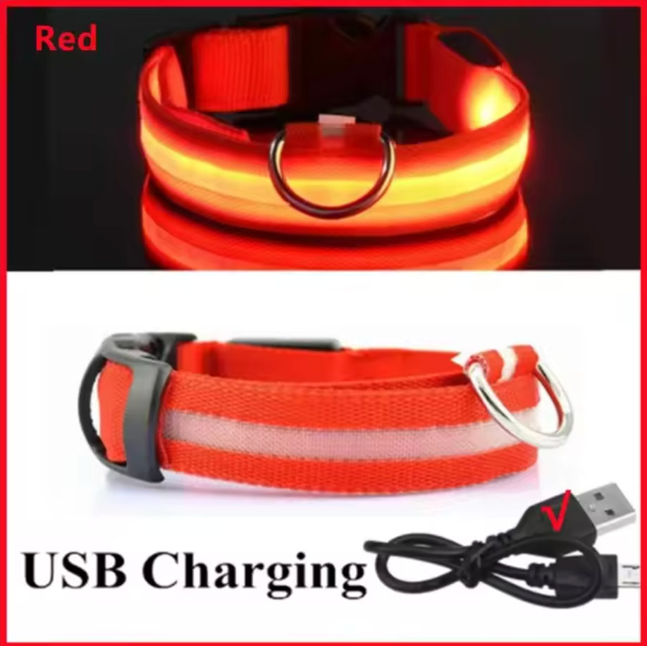 LED Glowing Dog Collar Adjustable Flashing Rechargea Luminous Collar Night Anti-Lost Dog Light HarnessFor Small Dog Pet Products
