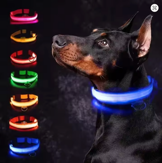 LED Glowing Dog Collar Adjustable Flashing Rechargea Luminous Collar Night Anti-Lost Dog Light HarnessFor Small Dog Pet Products