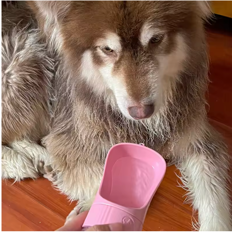 Portable Dog Water Bottle With Food Container Travel 2 in 1 Pet Water Dispenser For Small,Large Dogs, Cat